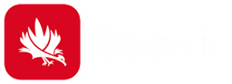 Soomi logo